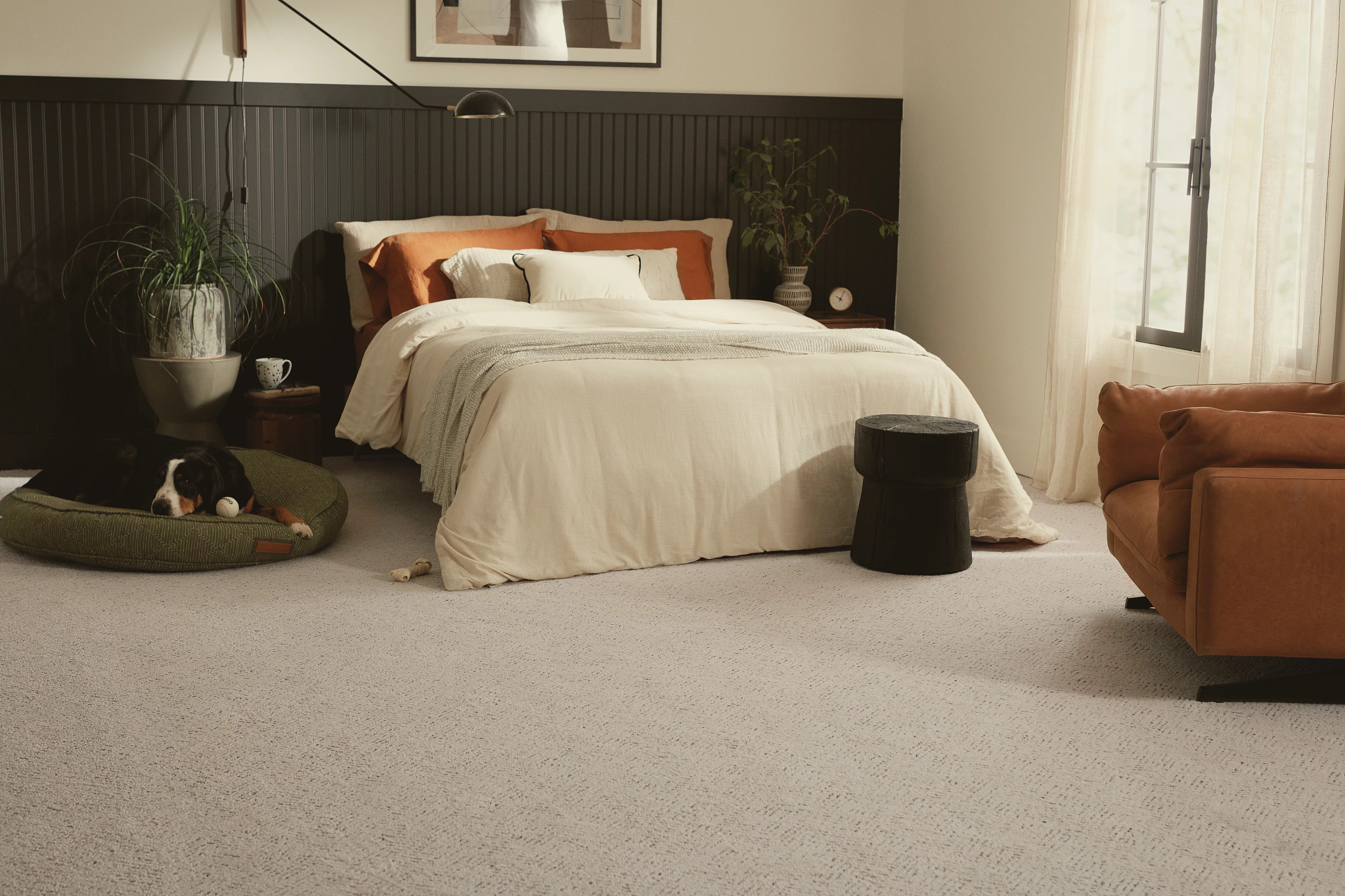 bedroom textured carpet in bedroom